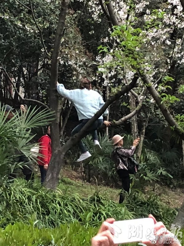 温州小巷子在哪里
