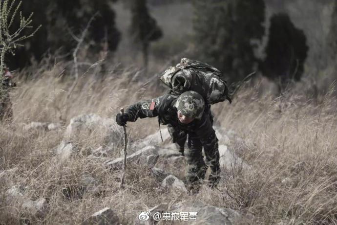 沧州新茶上市