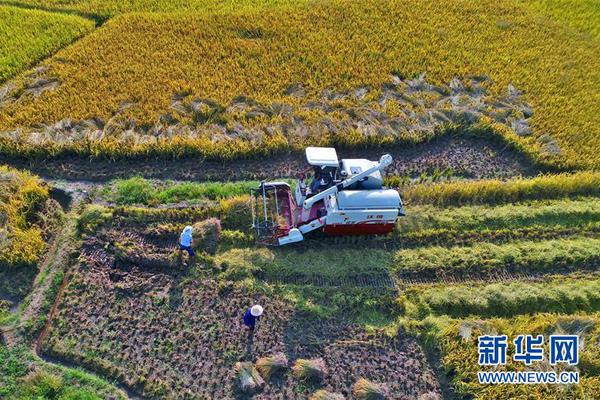 义马上门约茶品新茶嫩茶服务(义马哪里提供服务)