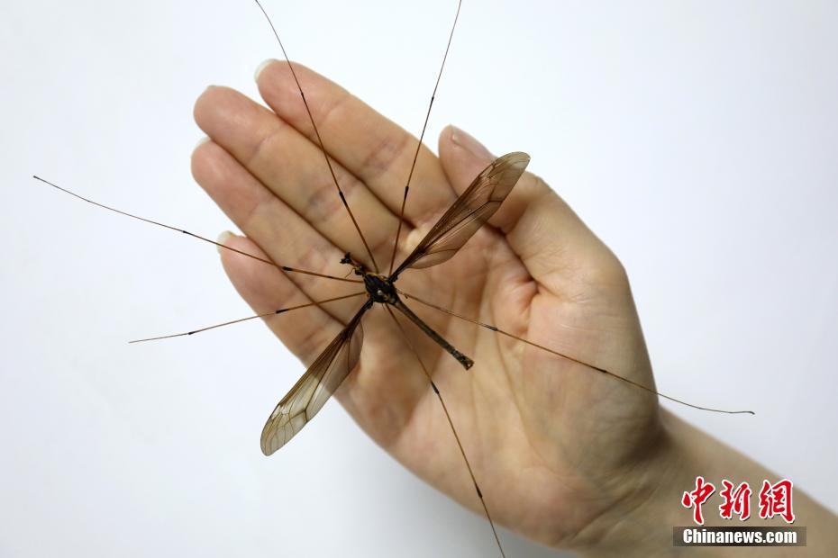 菏泽有服务的吗